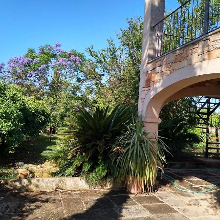 Lujosa Casa Mallorquina Restaurada Ses Salines  Eksteriør bilde