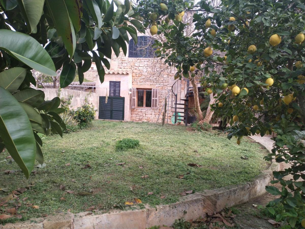Lujosa Casa Mallorquina Restaurada Ses Salines  Eksteriør bilde